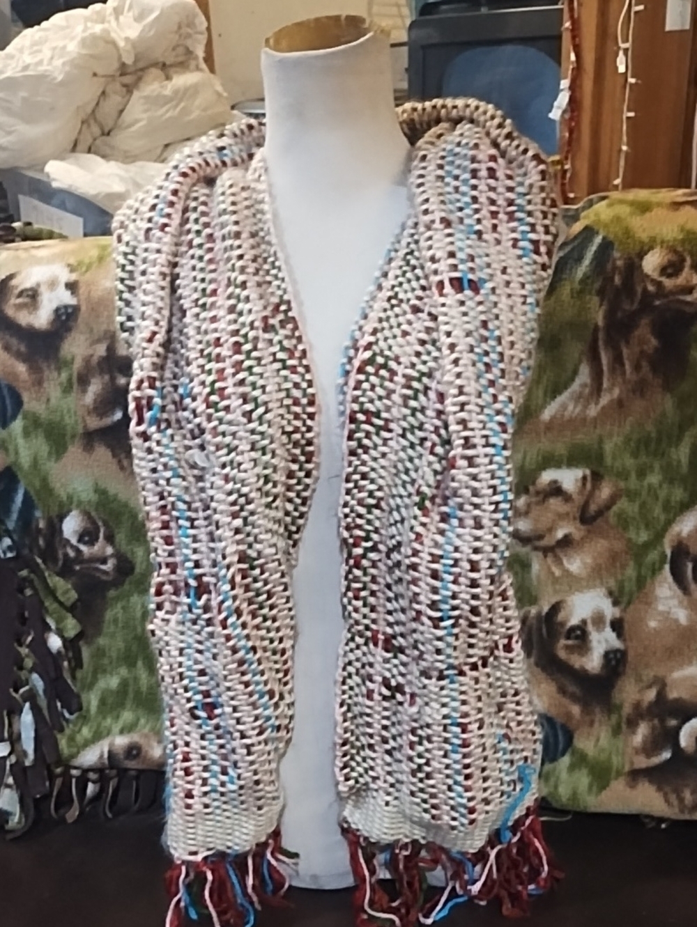 No Label Chunky Multicolor Knit Scarf with Fringe